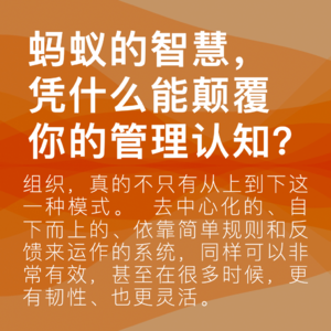 08.向蚂蚁学习:一个没有老板的组织,为何更高效?