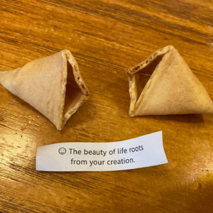 No.69-总的来说，还是要玩的更多更久啊