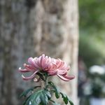 小王同学哈哈哈