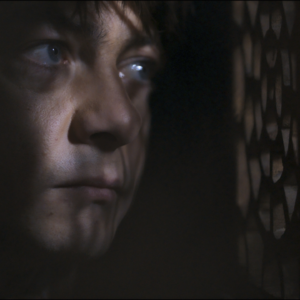 108.宽恕（feat.霓虹映画/小歹）：蘑菇有风险，食用需谨慎