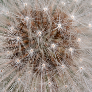 EP81 黄金铂金比与经济周期、选股