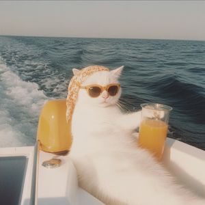 podcaster-avatar