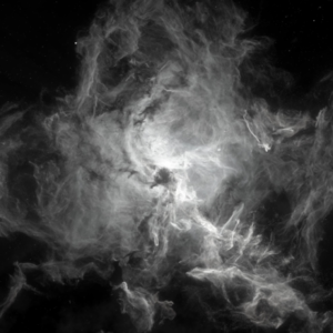 声久村 贰号 预告