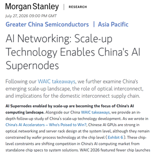 大摩重磅:国产 AI 算力竞争主线转向 Scale-up 互联