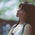 重齿毛当归