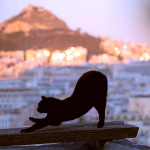 相跟上｜圣诞在雅典🇬🇷：历史很重，生活很轻｜ep1