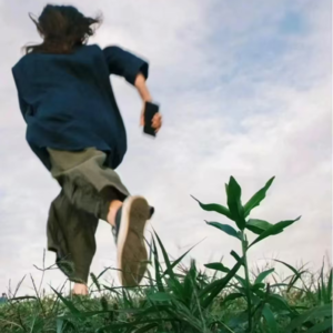 10.把自己种进春天:早起、跑步、关掉朋友圈后,我活成了一棵自洽的树