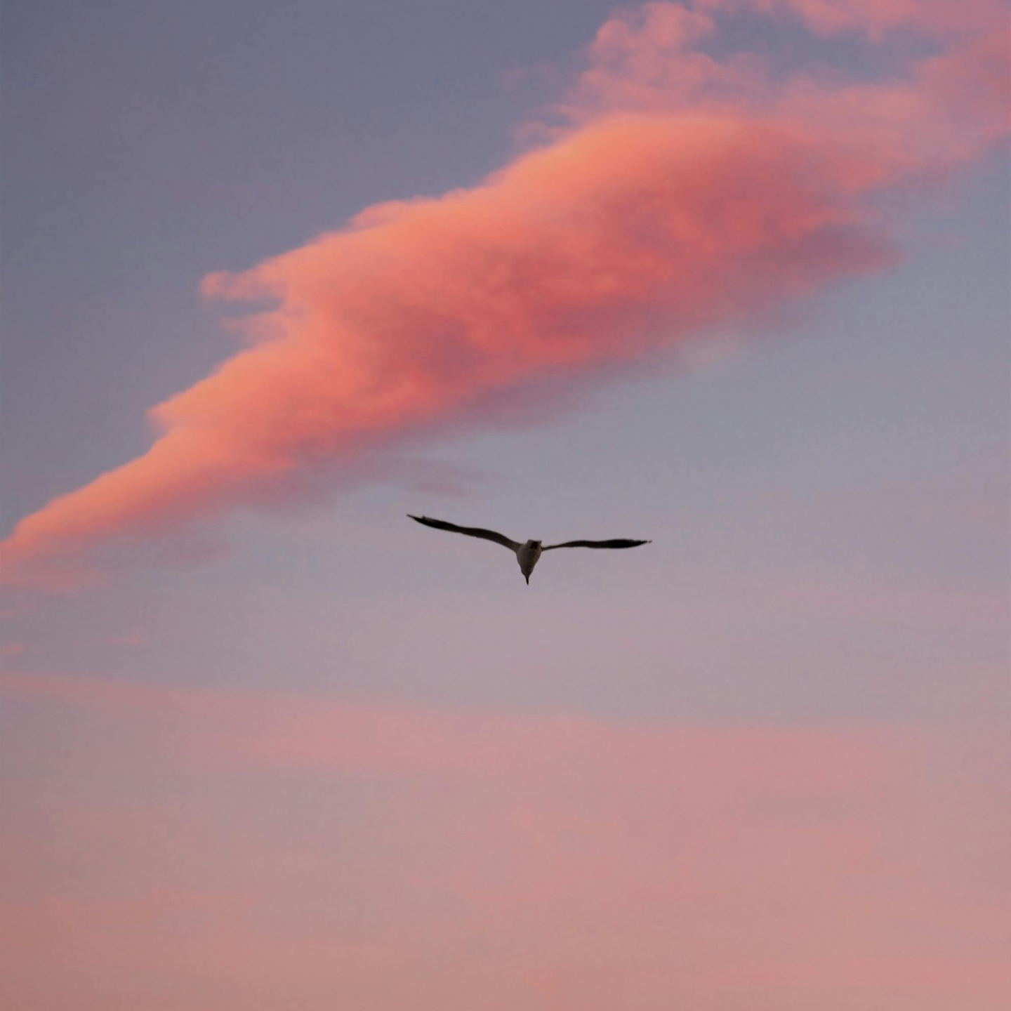 浮生命稿丨“六亲缘浅的人”