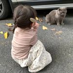 盥洗室的桃金娘