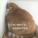 甜呼呼呼