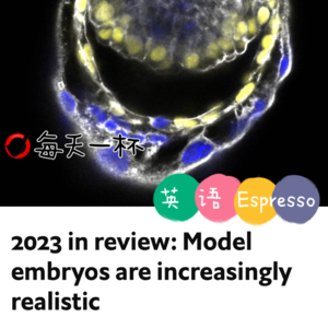 【122】回顾2023，胚胎模型成为现实