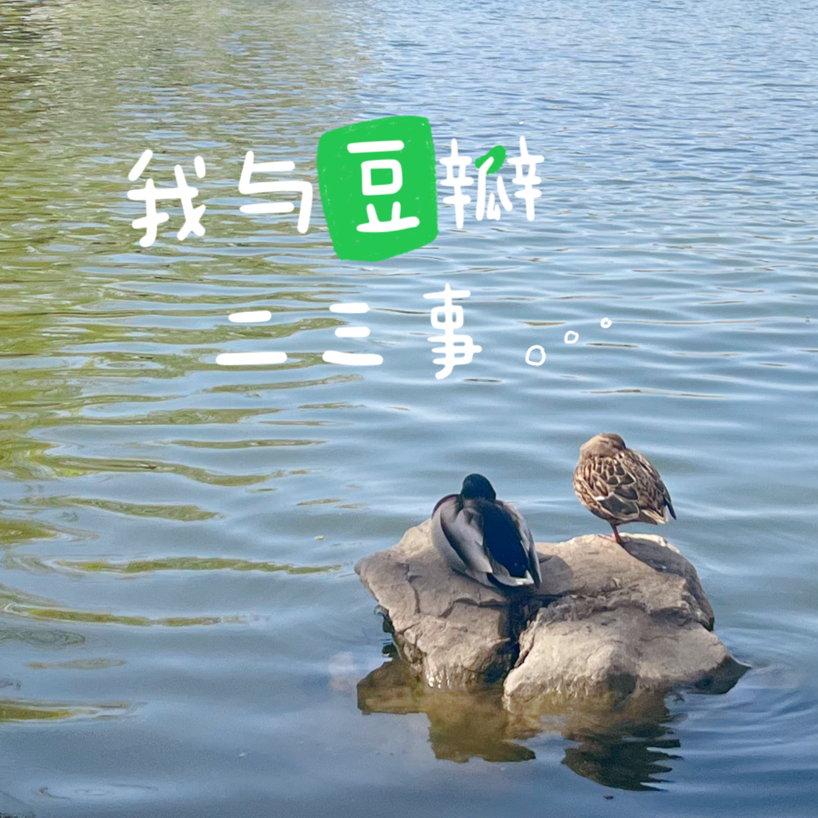 EP08-社媒冲浪这十年，豆瓣变了还是我们变了 episode artwork