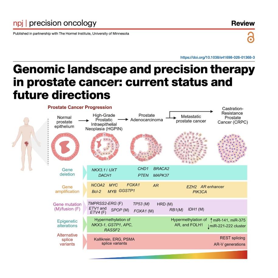 1260-Prostate Cancer: Genomic Landscape & Precision Therapy episode artwork