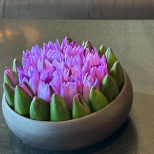 18 过一种“随时和随手”的生活｜1月声音日记一