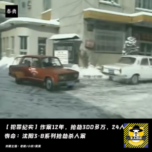 作案12年，抢劫300多万，24人丧命：沈阳3·8系列抢劫杀人案丨犯罪纪实