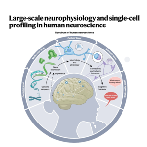 285-Convergence in Human Neuroscience