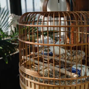 08｜浸入 12月的日常，思考爱真的很难「无来由」吗？