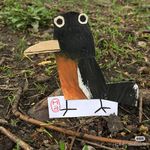 伊莉雅雅