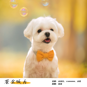 137.假如变成动物你想做点什么？