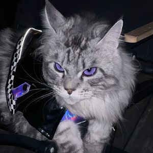 podcaster-avatar