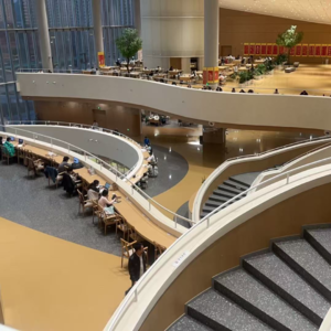 走出高强，轻装上阵—写给2025的自己与2026的计划