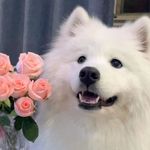 思凡_VSqL