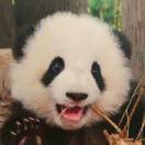 我喝水时不渴旺柴