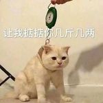 汽车人变身叽叽咕咕嘎嘎