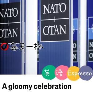 【176】北约75周年 前景却不明朗