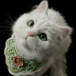尼娜加西亚