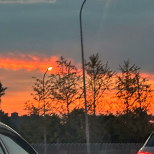 大胆地去塑造自己吧