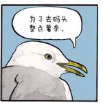 去薯条上整点码头