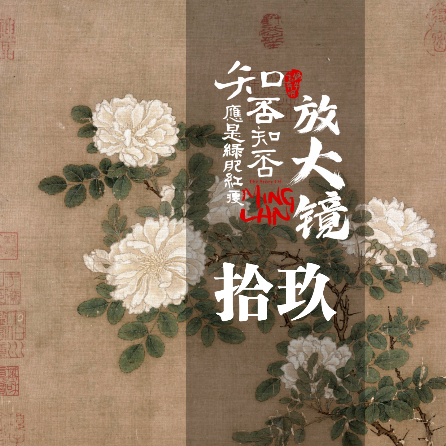 知否放大镜 19：朋友是举火把而来的勇气，陪着我们涉过黑暗 episode artwork