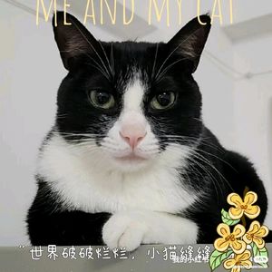 2025年必藏开源替代品大全：Immich领衔，Reddit万人狂推的终极清单！