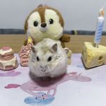 虾_糕
