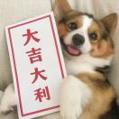 Yijie_Hn5R