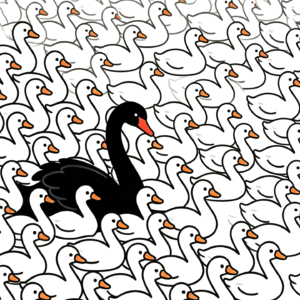 普通人类抓鹅指南 BlackSwan : 我们身边真有那么多黑天鹅事件吗？