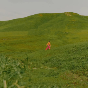 diary4:高敏感人vs低敏感人-人生的解药握在自己手里