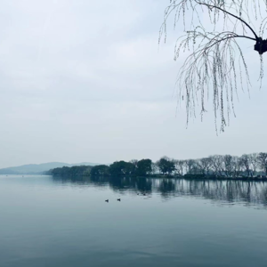 EP017：闲聊 | 当Couple共事搞装修会发生的”血案“（下）