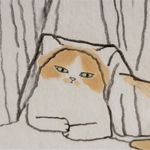 小猫思