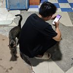 大壮啊啊啊