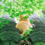 陈小猫_xyz