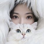 棉花cerise