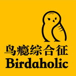 第110期：越黑雁飞高，我有大长焦 - 深夜里的科学“鸟”崽队
