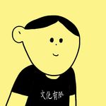 文化有限15岁粉丝