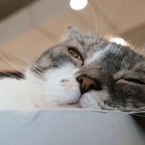 我不管