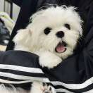 西红柿炖它妈头_BOqe