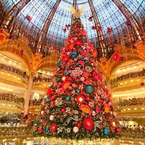 🌟回国🆚留法，往往是一瞬间的决定