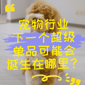 宠物行业下一个超级单品可能会诞生在哪里？