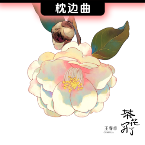茶花为我买理想 • 王睿卓《茶花开了》